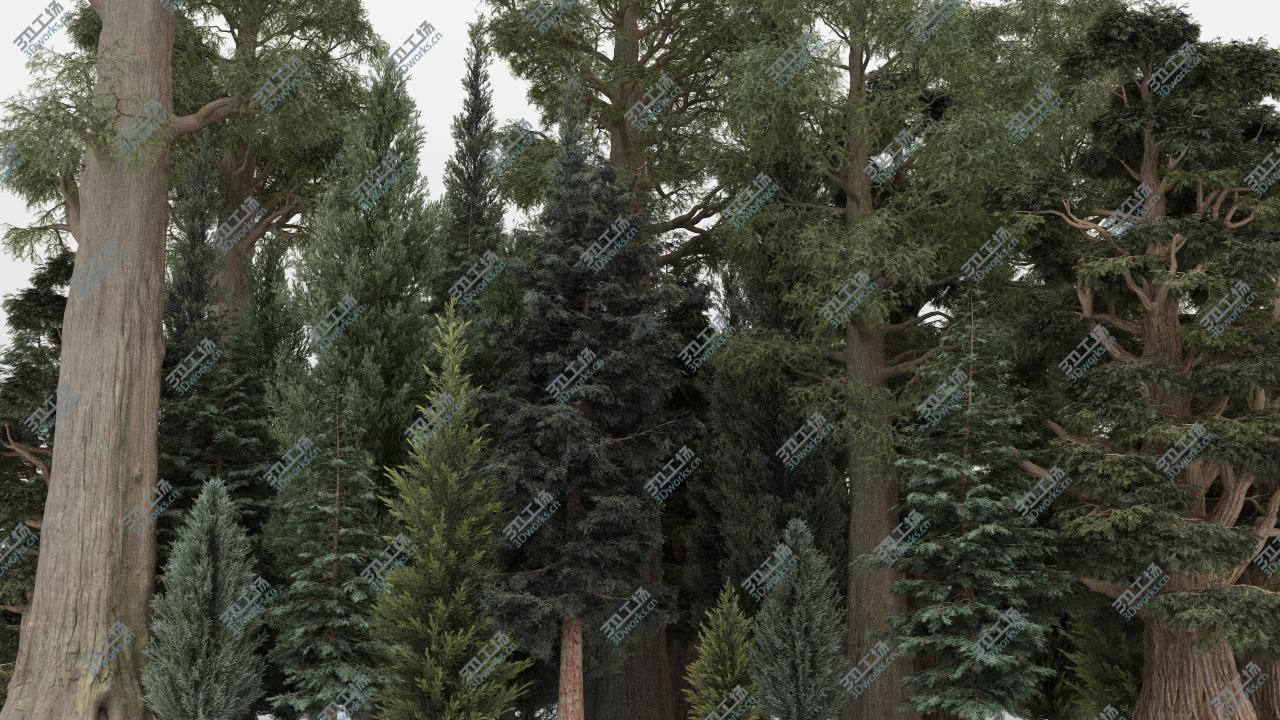 images/goods_img/202104092/3D model 40 Summer Conifer Trees/1.jpg